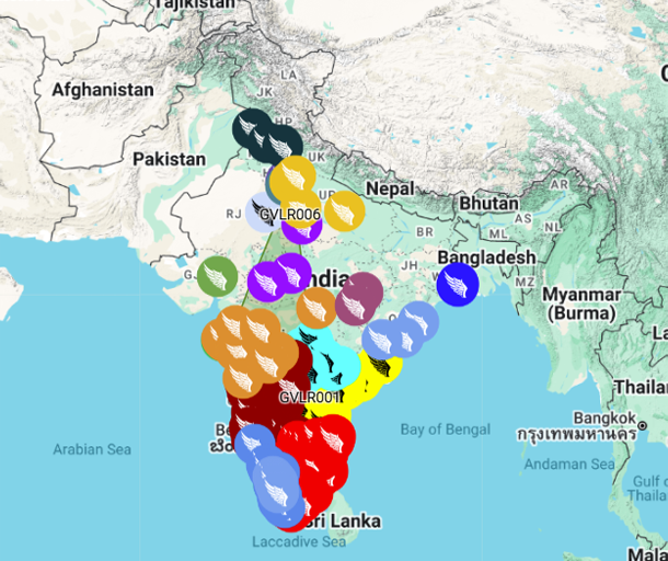 Garudavega Network Map